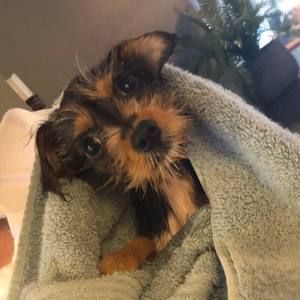 Meet your Posher, Andrea